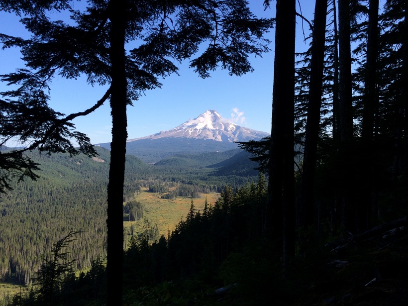 Mt Hood